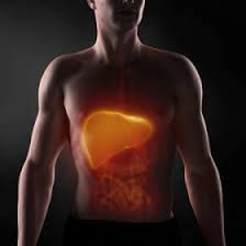 images | فروشگاه اینترنتی مطب شاپ